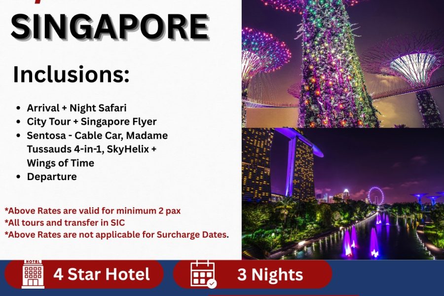SINGAPORE TOUR